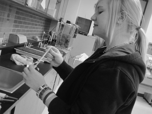 Sophomore Julie Curtis prepares to isolate DNA for the upcoming STEM Expo April 2.