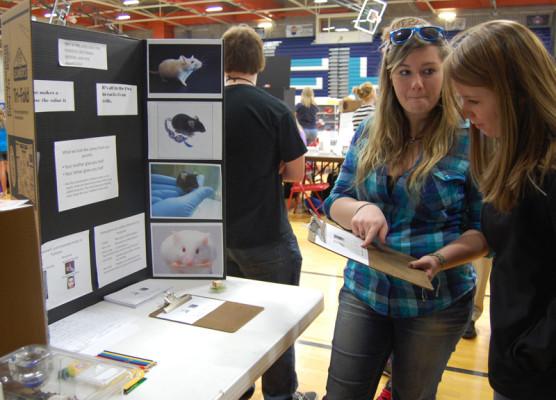 Annual+STEM+Expo+attracts+scientists+young+and+old