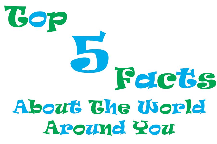 Top+5+Facts+about+the+World+around+you