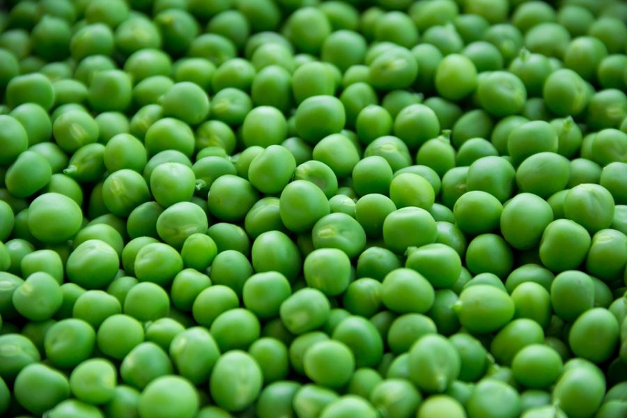 If Peas Could Talk Would You Eat Them?