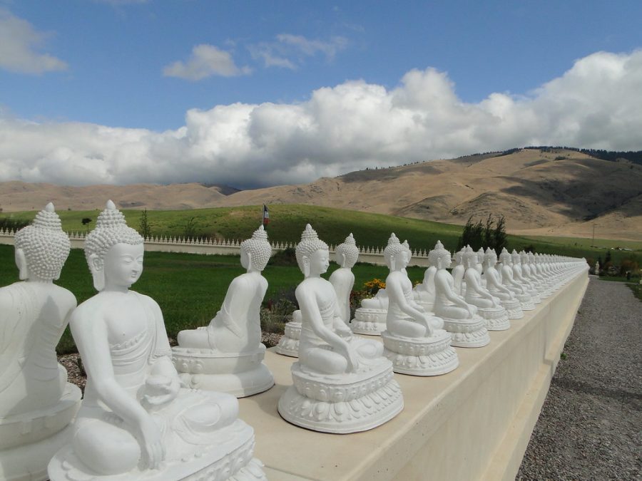 Stampede Speaks S1E2: Garden of 1000 Buddhas