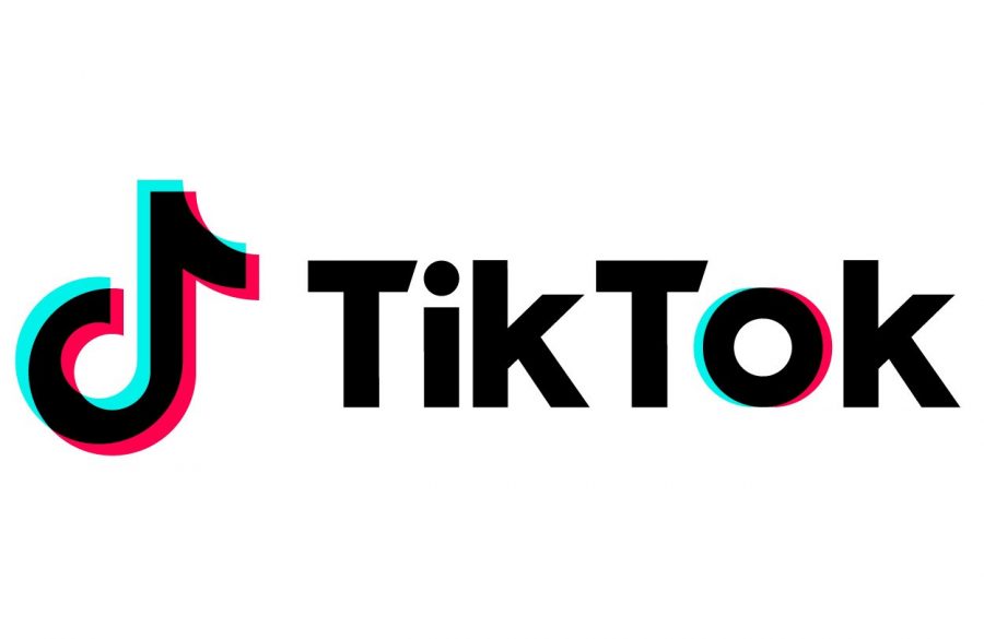 The TikTok accounts that will get you through quarantine