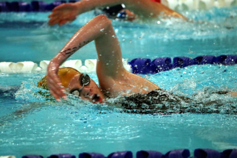 Electric City swimmers competing in state finals Feb. 10-11