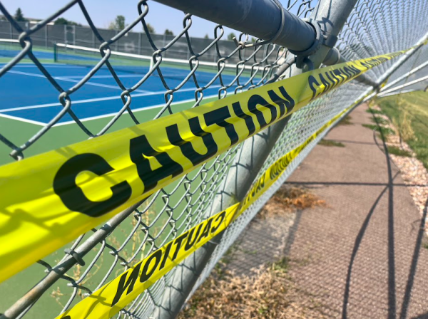 Caution: This fence has given up.