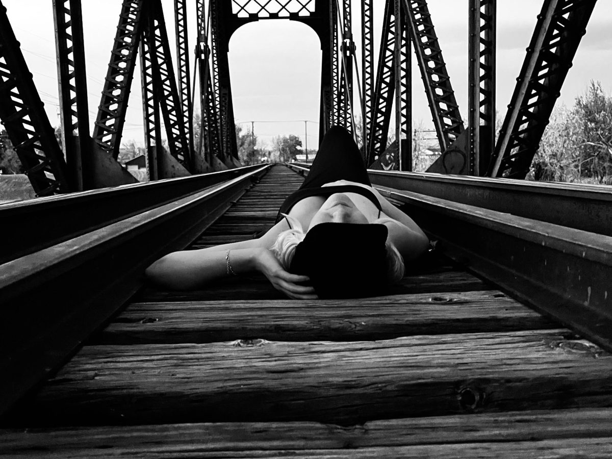 Helmut Newton in a Nutshell